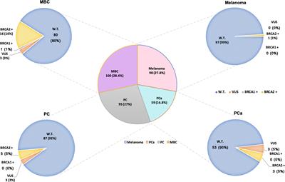BRCA-associated hereditary male cancers: can gender affect the prevalence and spectrum of germline pathogenic variants?